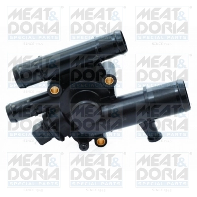 Thermostat, coolant